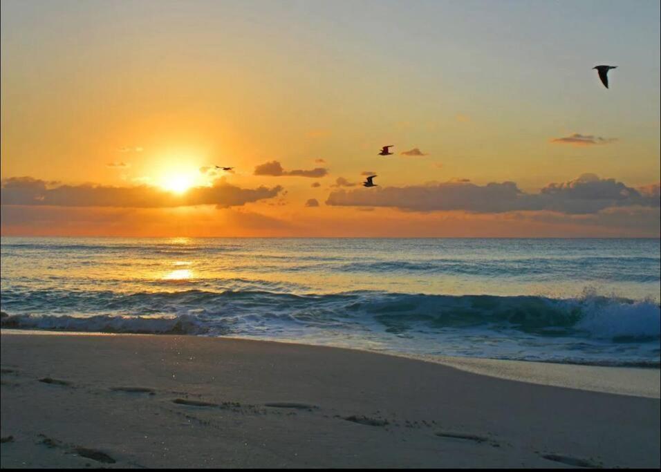 Amazing Beachfront Apartment Cancún Buitenkant foto